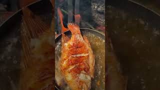 Tilapia frita food bife churrasco bifeaparmegiana beefsteak bifeamilanesa bbq [upl. by Aleakim]