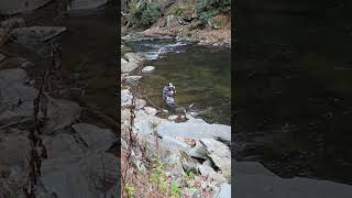 CANT 🛑 STOP euronymphing the Upper Nantahala River NC  flyfishing shorts  Happy On The Fly [upl. by Naerol]