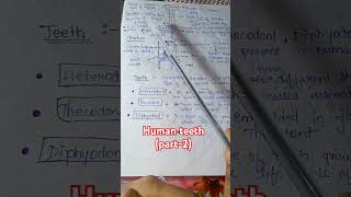 Human teeth part2biology shorts video for competitive exams biology [upl. by Masterson]