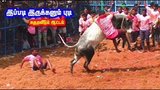 இப்படி இருக்கனும் வீரன் சூப்பர் புடி சூப்பர் காளை Navalur kuttappattu best Tamizhan Trending [upl. by Auhso]