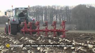 Label Rouge les plantes sy mettent aussi  La Quotidienne  France 5  27022015 [upl. by Dix]