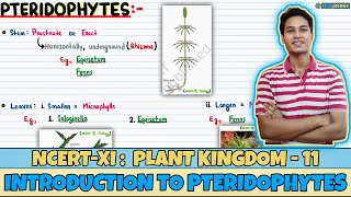 Plant Kingdom Lec 11 Introduction to Pteridophytes Class 11 NEET Neetology [upl. by Waldemar]