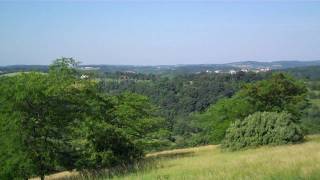 View from roof of Trexler Environmental Center in the Trexler Nature Preserve [upl. by Atsylak10]