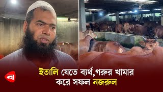 ইতালি যেতে ব্যর্থগরুর খামার করে সফল নজরুল  Cow farm in bangladesh  Protidiner Bangladesh [upl. by Manlove]