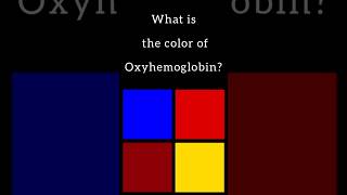 Oxyhemoglobin  Brain Art shorts oxyhemoglobin brainart [upl. by Nnyled]