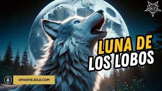 INFLUENCIA ENERGÉTICA DE LA LUNA LLENA DEL LOBO [upl. by Nahtnamas]