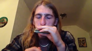 HOW TO PLAY THE BLUES SCALE  C HARMONICA 2ND POSITION LESSON [upl. by Pik]