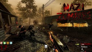 POGREB PURE CHAOS MAP ZOMBIES POGREB  World at War Custom Map [upl. by Papagena]