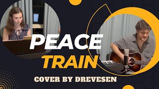 Peace Train  YusufCat Stevens  cover [upl. by Nylisoj353]