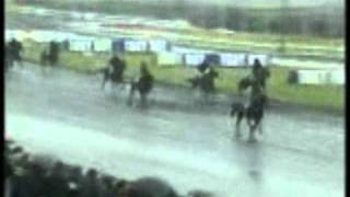 Prix de Cornulier 2001 First de Retz [upl. by Della]