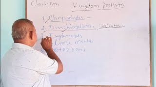 KingdomProtistapart1Class11th biologyJM Bio ClassesNCERT explanation Lecture 43 [upl. by Chari]