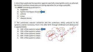 Respiratory Cases and Revision Part 1 102024 [upl. by Aem]