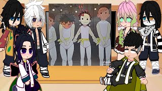 Hashiras react to themselves  KNY  Gacha reacts [upl. by Rise]