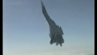 Sukhoi Su33 Cobra Maneuver [upl. by Misty]