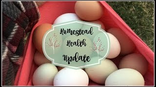 Homestead Health Update [upl. by Cort]