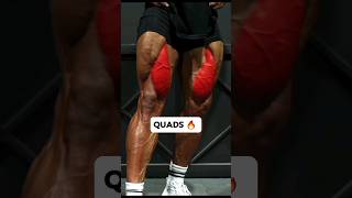 Top Quad Workout for Beginners  Get started the Right Way [upl. by Suellen]