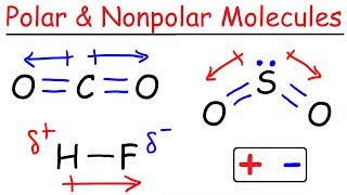 Polar and Nonpolar Molecules [upl. by Rozamond]