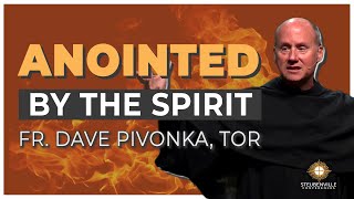 Fr Dave Pivonka TOR  Anointed By the Spirit  Power and Purpose Conference [upl. by Gnourt405]