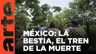 México La Bestia el tren de los migrantes 2018  ARTEtv Documentales [upl. by Farly84]