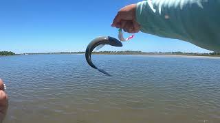 Ep 5 Kayak fishing in Swansboro NC [upl. by Camille660]