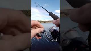 Lure fishing for wild trout Trout fishing Scotland [upl. by Punke748]