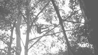 Agile Gibbon Great Call [upl. by Olrak306]