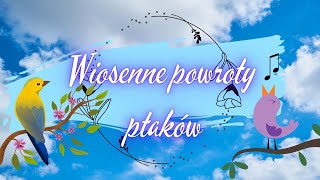 Wiosenne powroty ptaków dla dzieci [upl. by Adnahcal]