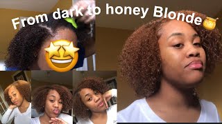 DYING MY NATURAL HAIR FROM DARK TO HONEY BLONDE No bleach creme of Nature [upl. by Eidnyl]