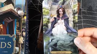 🎃Wizards Tarot  FlipThrough amp Timeless OneCard Reading🎃 [upl. by Ettesil882]