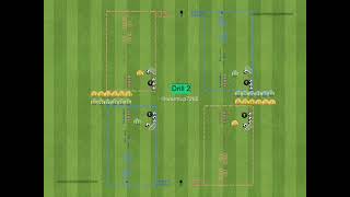 SpeedAgilityQuickness training soccer [upl. by Nauqram159]