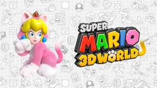 CORSO Tyler The Creator  Super Mario 3D World [upl. by Uri]