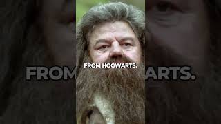 Hagrids Iconic Moment Revealed HarryPotter Magic Hogwarts [upl. by Labors]