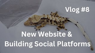 New Website amp Building Social Platforms  Vlog 8 of Zeros Geckos [upl. by Eiramanel]