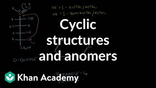 Carbohydrates  Cyclic structures and anomers  Chemical processes  MCAT  Khan Academy [upl. by Allsun]