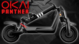 Epic 12quot OKAI Scooter  Honest Review  OKAI Panther ES800 [upl. by Esteban567]