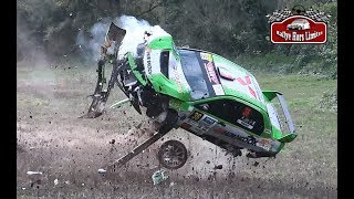 BEST OF RALLY 2019  BIG CRASHES amp MISTAKES [upl. by Annagroeg]