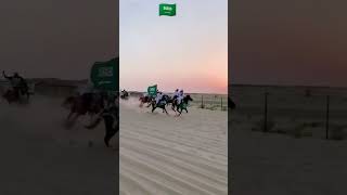 Nationalday soudi arabia hours riding [upl. by Laerdna]