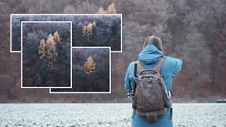 WINTERANFANG ohne Schnee  Fotografieren von bunten Lärchen und Reif am Waldrand [upl. by Notsirt]