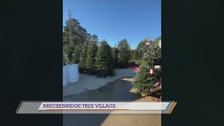 Breckenridge Tree Village opens in Tyler [upl. by Spark671]