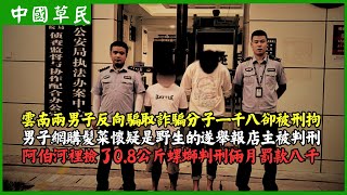 雲南兩男子反向騙取詐騙分子一千八卻被刑拘男子網購髮菜懷疑是野生的遂舉報店主被判刑阿伯河裡撿了08公斤螺螄判刑倆月罰款八千Reaction video [upl. by Nomad120]