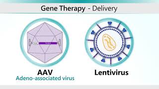 Hemophilia AAV Gene Therapy Animation [upl. by Anson]