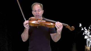 Two Bridge Comparison Evah Pirazzi Gold strings Soloist Violin for Harry [upl. by Deland]