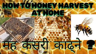 How to Honey Harvest in village  मह काढ्ने तरिका  Honey Harvesting in Nepal  Bee Keeping [upl. by Vrablik]