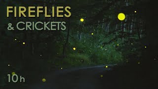 Fireflies amp Crickets  Calming Nature Night Sounds amp Sights for Sleep amp Relaxation  10 Hours [upl. by Wini]