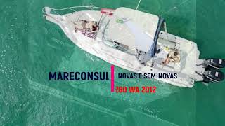 Mareconsult Yachts  Wellcraft 260 WA 2012 A venda [upl. by Ilah526]