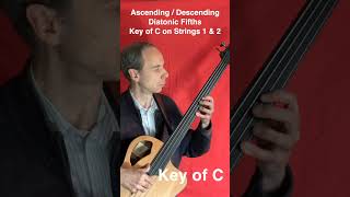 Ascending and Descending Diatonic Fifths in the Key of C on Strings 1 amp 2 jazz bass basspractice [upl. by Eked]