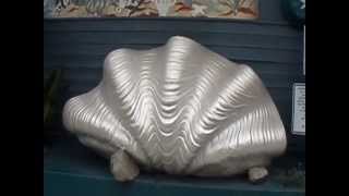 POP Giant Clam Shell [upl. by Pietro808]