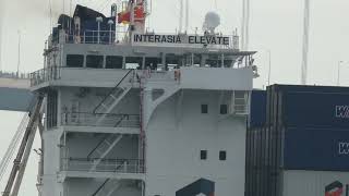 CONTAINER SHIP  INTERASIA ELEVATE  20241122 [upl. by Ferriter174]