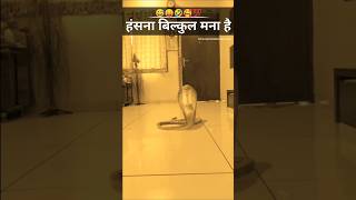 Ye kya hua 🤪😂funny comedy youtubeshorts [upl. by Firahs]