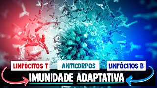 Sistema Imunológico IMUNIDADE ADAPTATIVA RESUMIDA │ Imunologia [upl. by Yleen630]